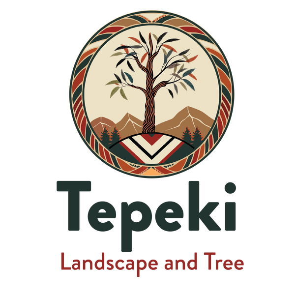 Tepeki Landscape and Tree